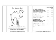Mini-Buch-für-Lapbook-Quiz-Kamel.pdf